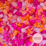 Petal Confetti hydrangea - Double Pink Orange + FlutterFly®