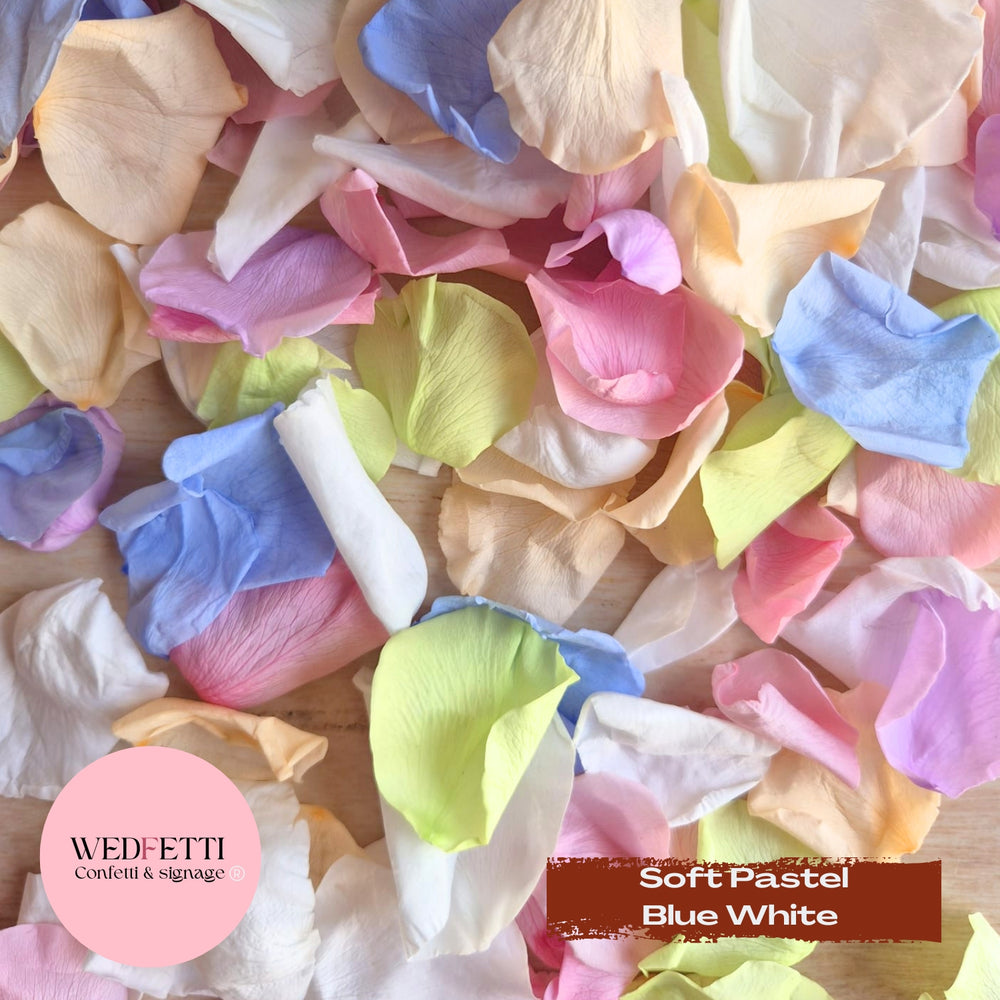 Rose Petals - Soft Pastel Blue White