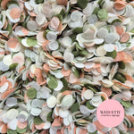 Slow falling paper Confetti - Olive B Peach L Sage Light Ivory