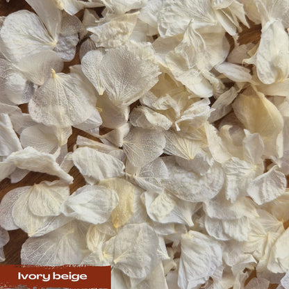 Create your own custom Hydrangea Petal Confetti mix