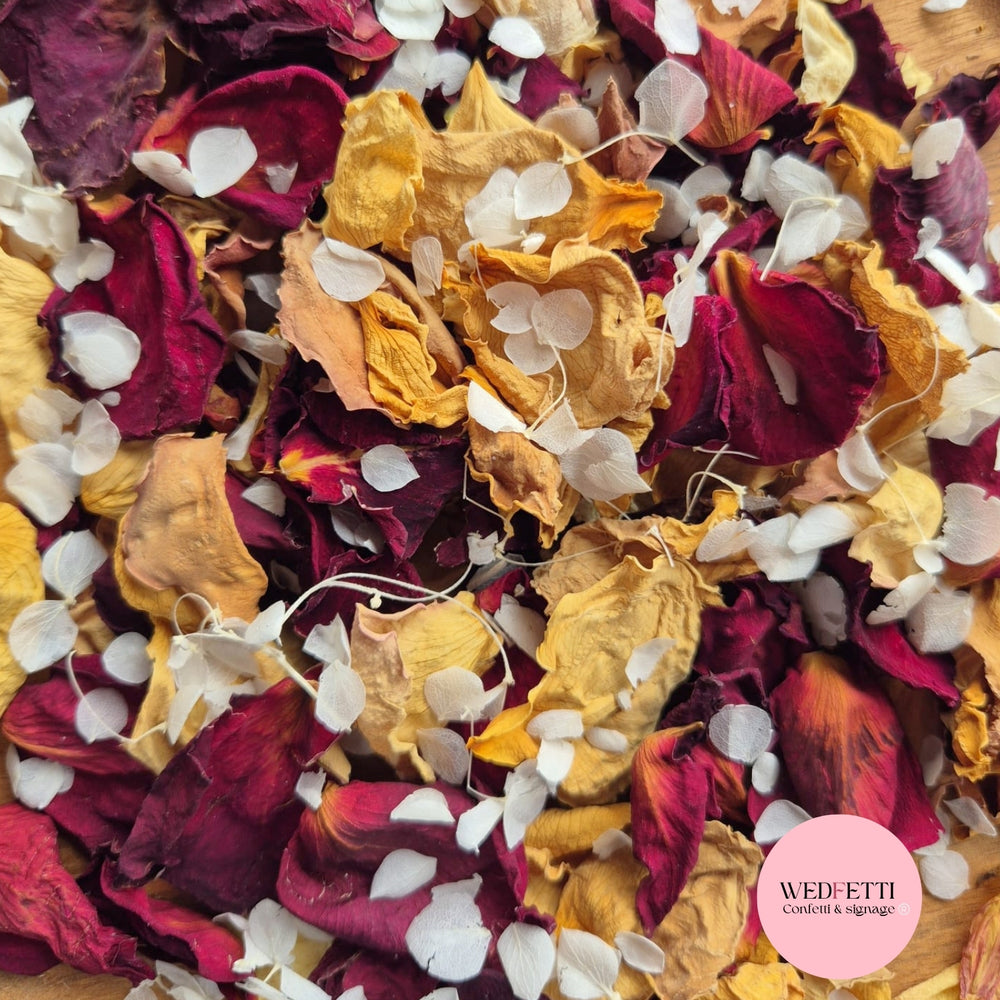 Large Burgundy, Light Tan Rose petals + SnowPetals