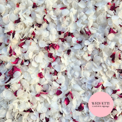 Snow Petal Confetti® - White + Burgundy Rose petals
