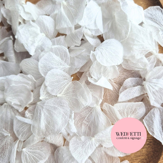 Hydrangea Petals - Wedding White