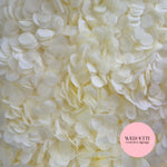 Slow falling paper Confetti - Sherbet Ivory