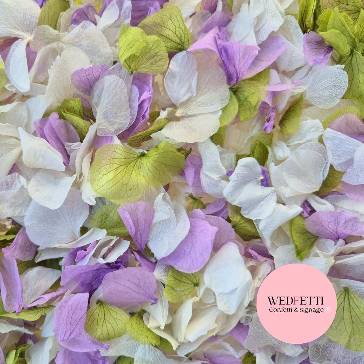 Petal Confetti hydrangea - Light Ivory Sage Light Purple
