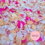 Petal Confetti hydrangea - White Fuschia Peach