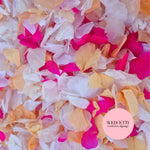 Petal Confetti hydrangea - White Fuschia Peach