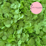 Slow falling paper Confetti - Lime Green