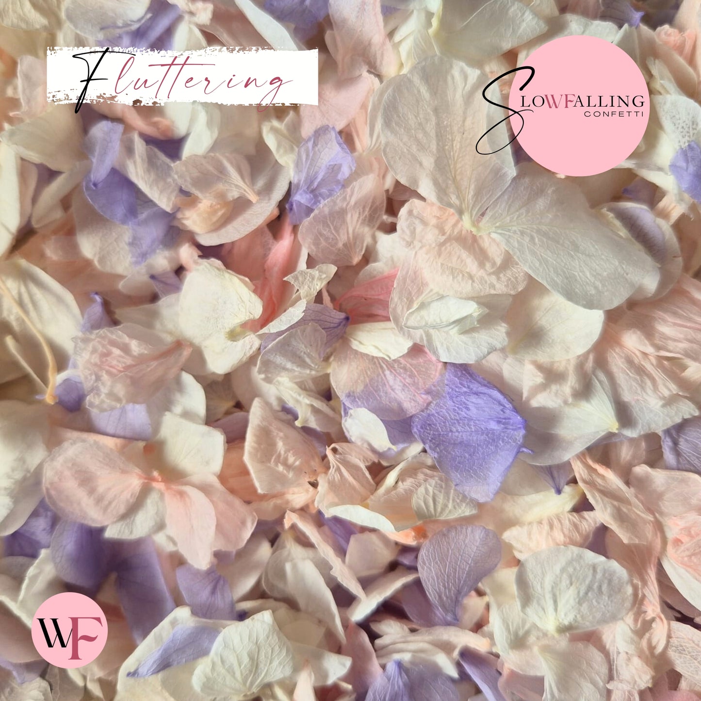 Petal Confetti hydrangea - Soft Purple Pink White