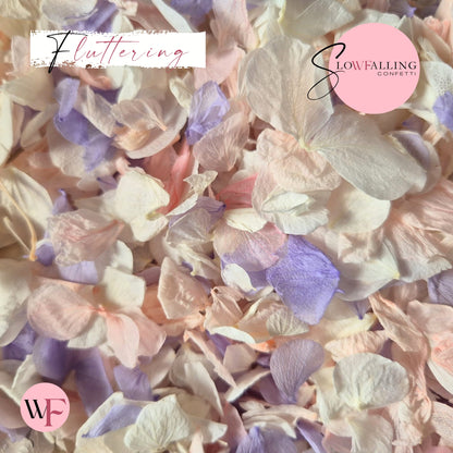 Petal Confetti hydrangea - Soft Purple Pink White