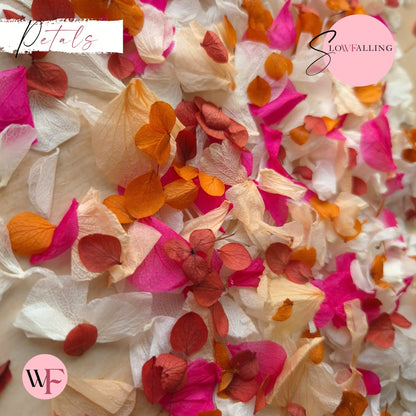 Petal Confetti hydrangea - Fruit Salad Peach Red