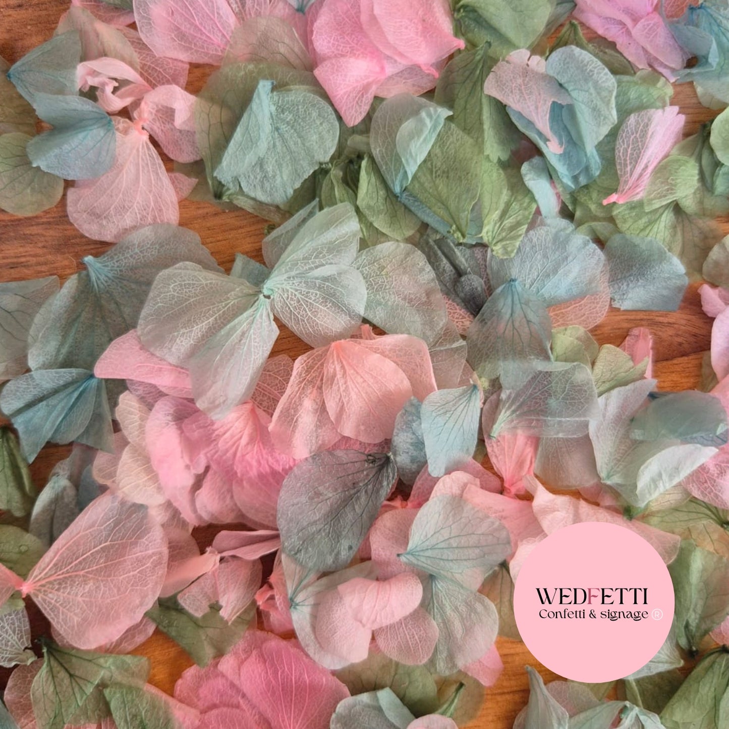 Petal Confetti hydrangea - Sage Pink Hydrangea
