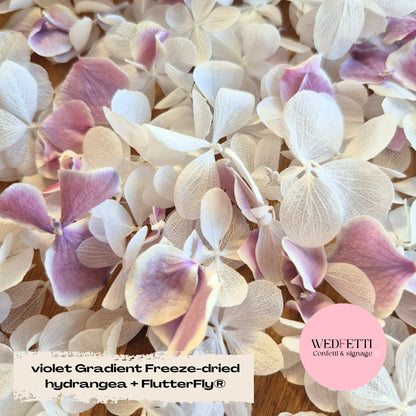 SLOW FALLING PETALS Freeze dried violet Gradient hydrangea + FlutterFly®