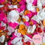 Petal Confetti hydrangea - Fruit Salad Red