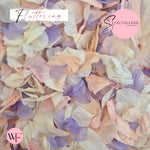 Petal Confetti hydrangea - Soft Purple Pink White