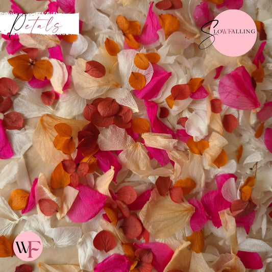 Petal Confetti hydrangea - Fruit Salad Peach Red