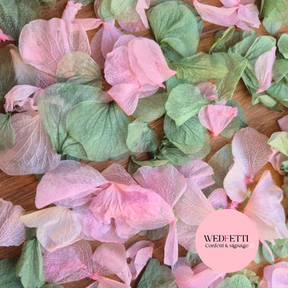 Petal Confetti hydrangea - Sage Pink Hydrangea