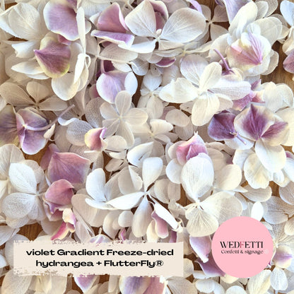 SLOW FALLING PETALS Freeze dried violet Gradient hydrangea + FlutterFly®