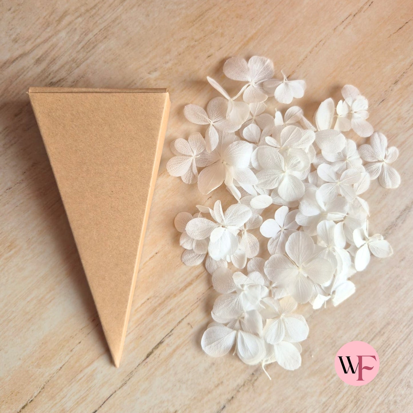 DIY closed Petal/Paper confetti cones (Large)