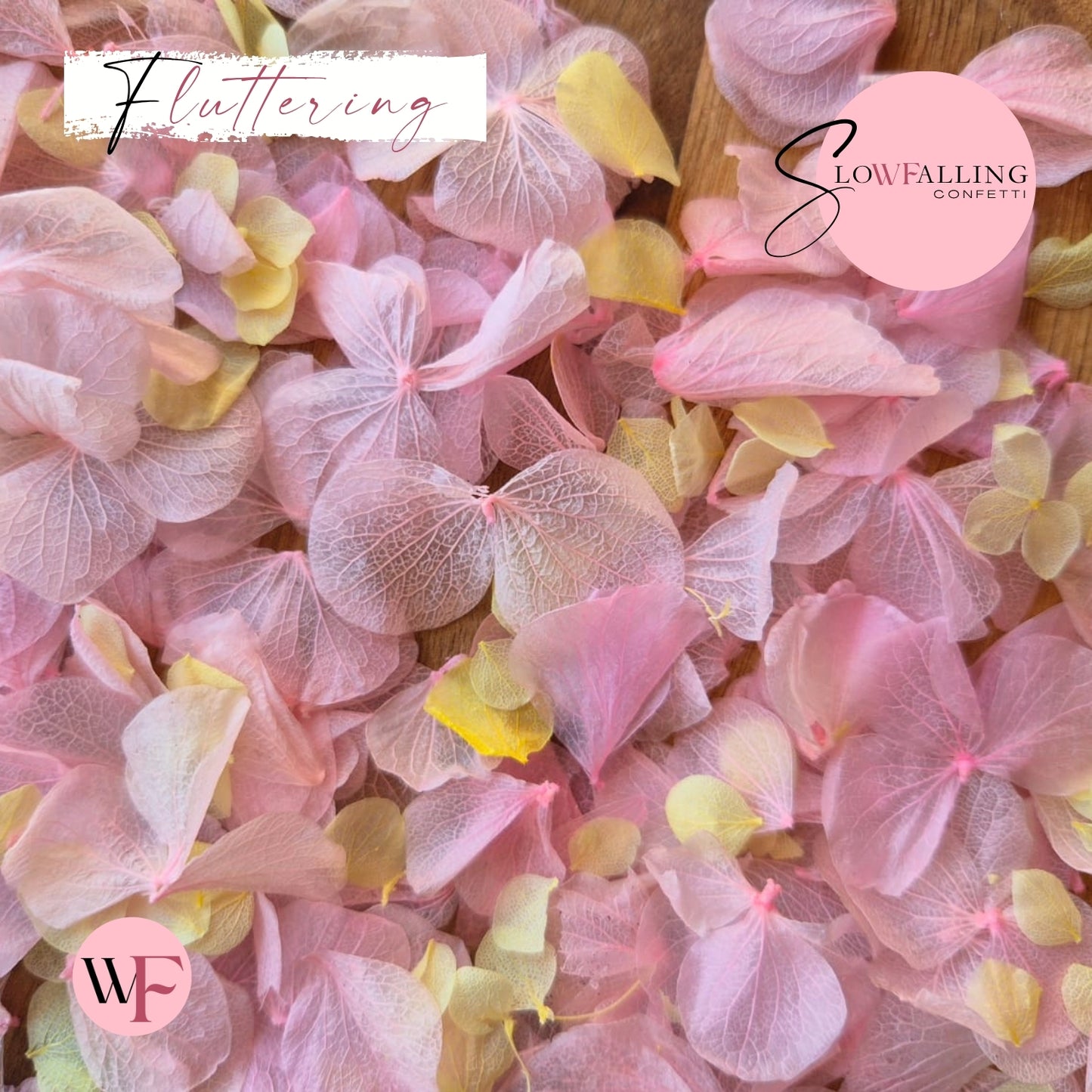 Petal Confetti hydrangea - Lemon Light pink