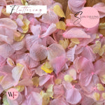 Petal Confetti hydrangea - Lemon Light pink