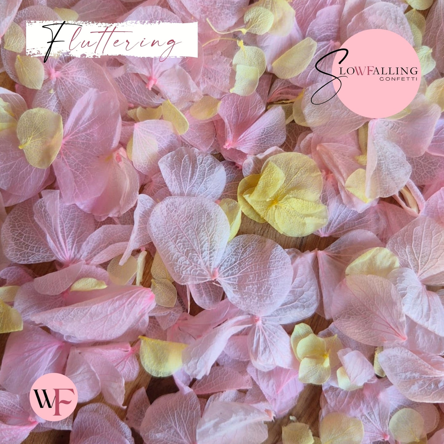 Petal Confetti hydrangea - Lemon Light pink