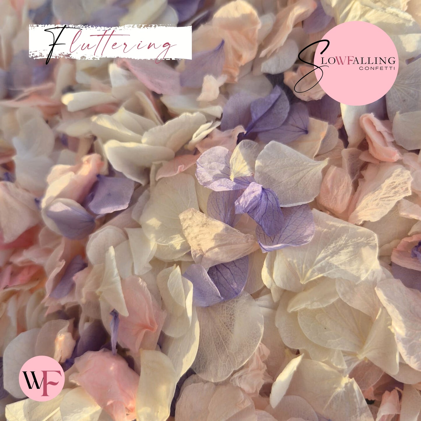 Petal Confetti hydrangea - Soft Purple Pink White