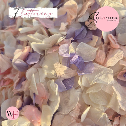 Petal Confetti hydrangea - Soft Purple Pink White