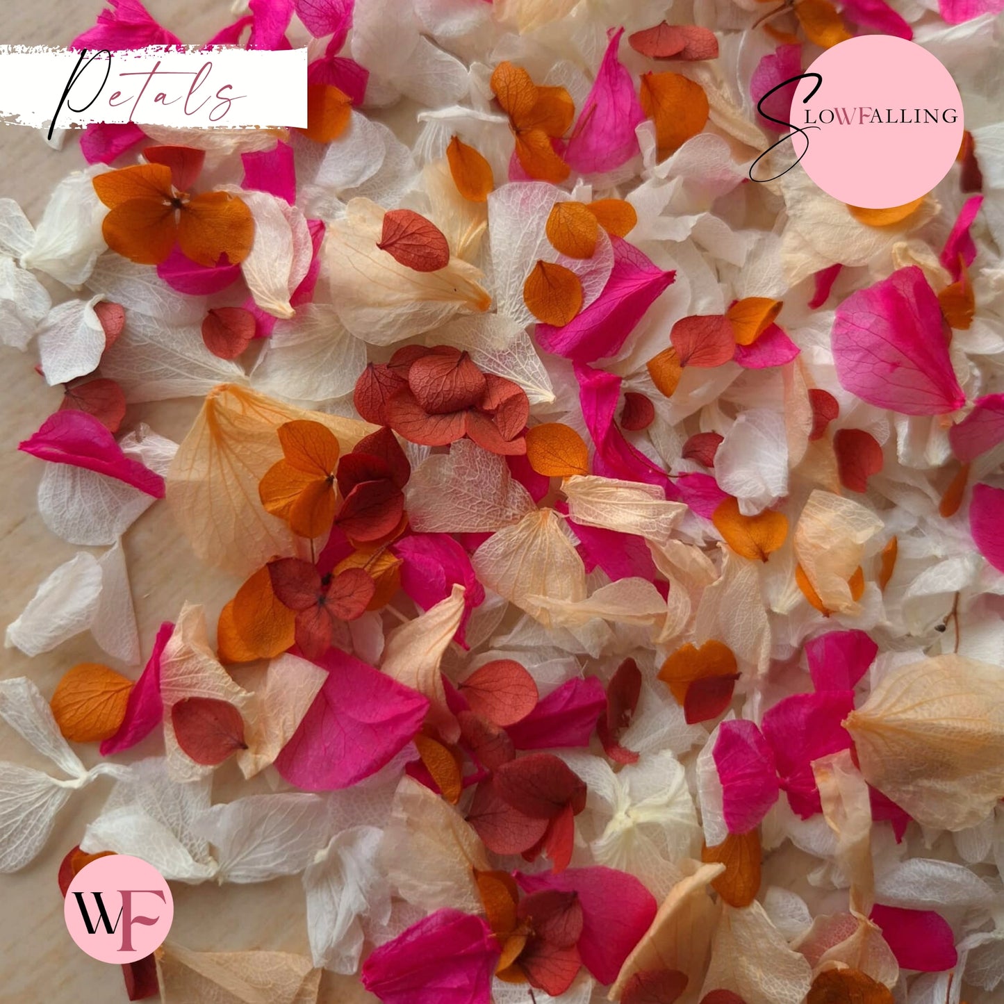 Petal Confetti hydrangea - Fruit Salad Peach Red