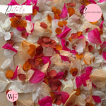 Petal Confetti hydrangea - Fruit Salad Peach Red