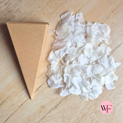 DIY closed Petal/Paper confetti cones (Large)