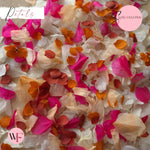 Petal Confetti hydrangea - Fruit Salad Peach Red