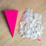 DIY closed Petal/Paper confetti cones (Large)