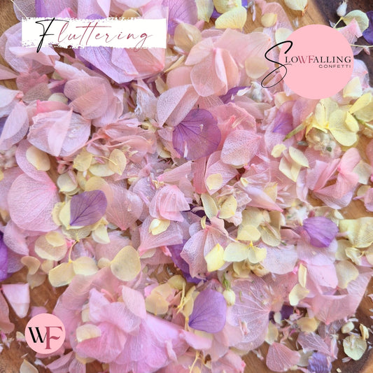 Petal Confetti hydrangea - Lemon butterfly mix