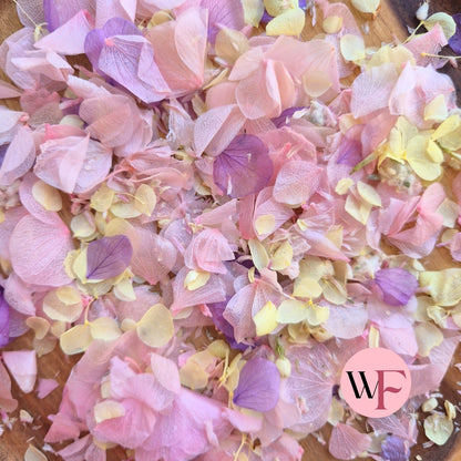 Petal Confetti hydrangea - Lemon butterfly mix