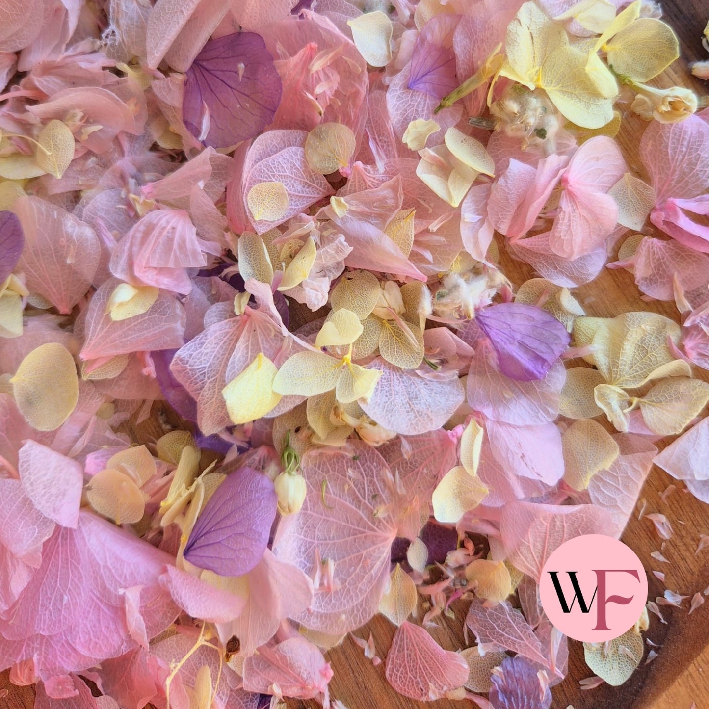 Petal Confetti hydrangea - Lemon butterfly mix