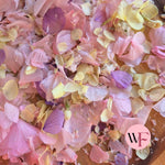Petal Confetti hydrangea - Lemon butterfly mix