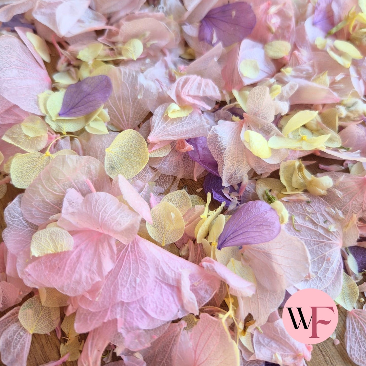 Petal Confetti hydrangea - Lemon butterfly mix
