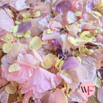 Petal Confetti hydrangea - Lemon butterfly mix