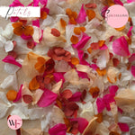 Petal Confetti hydrangea - Fruit Salad Peach Red