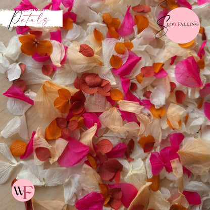Petal Confetti hydrangea - Fruit Salad Peach Red