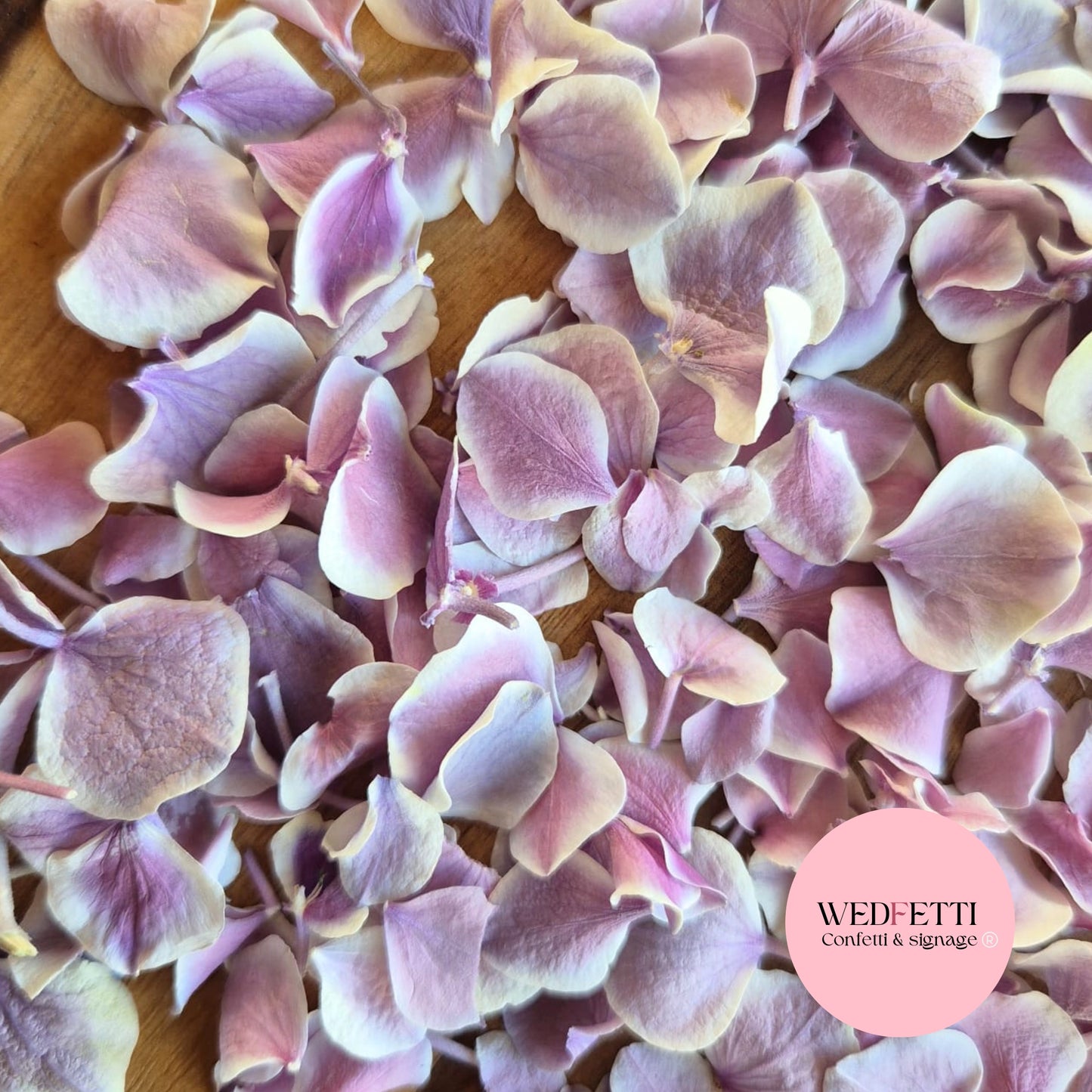 SLOW FALLING PETALS Freeze dried violet Gradient hydrangea petals premium