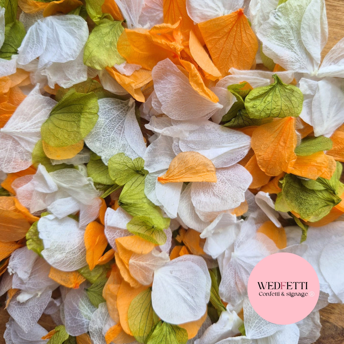 Petal Confetti hydrangea - October Sage