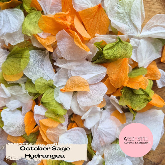 Petal Confetti hydrangea - October Sage