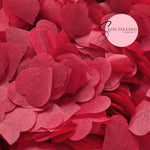Biodegradable paper Confetti hearts - China Red