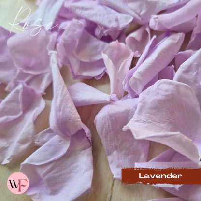 Rose Petals - Lavender