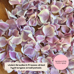 SLOW FALLING PETALS Freeze dried violet Gradient hydrangea petals premium