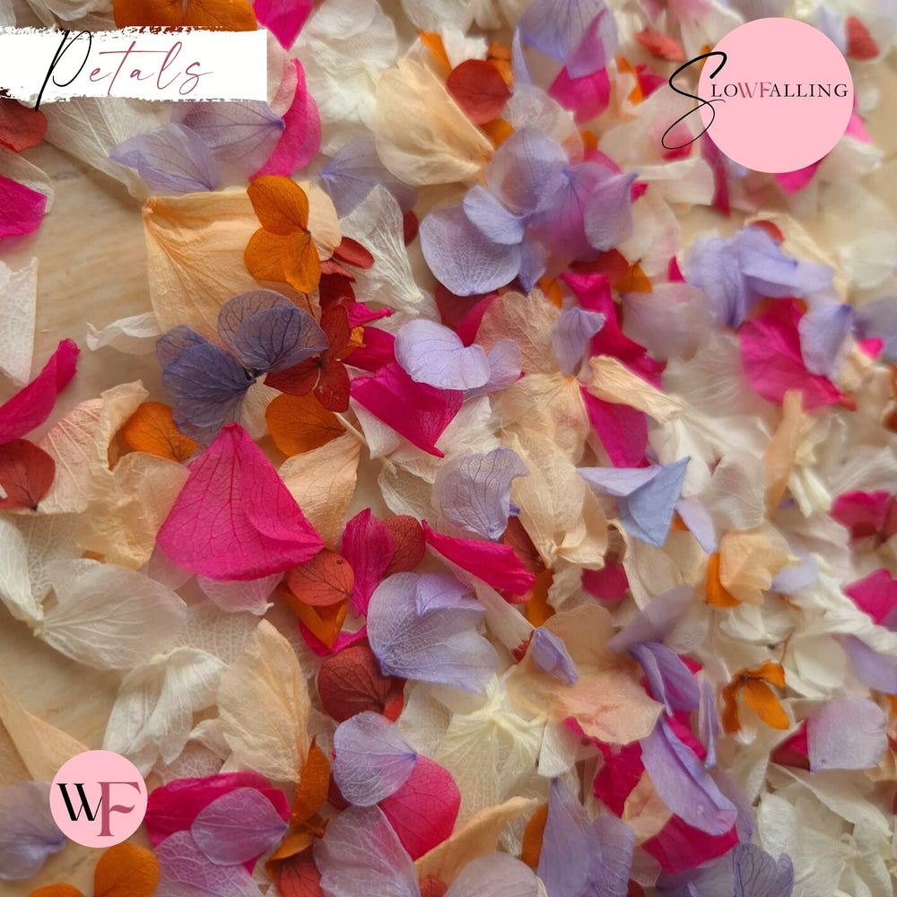 Petal Confetti hydrangea - Lavender Fruit Salad Peach