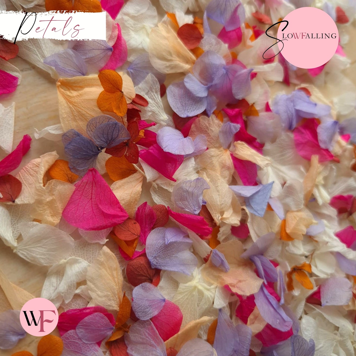 Petal Confetti hydrangea - Lavender Fruit Salad Peach