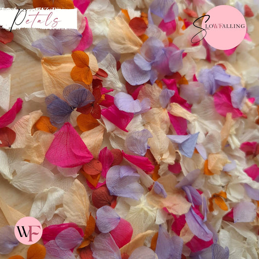 Petal Confetti hydrangea - Lavender Fruit Salad Peach